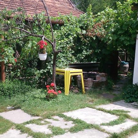 Boris Apartman Apartman Gyula Kültér fotó