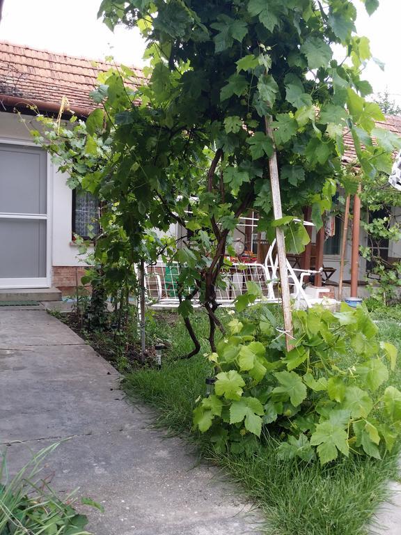 Boris Apartman Apartman Gyula Kültér fotó