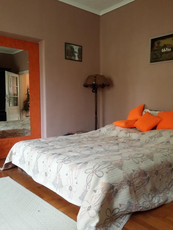 Boris Apartman Apartman Gyula Kültér fotó