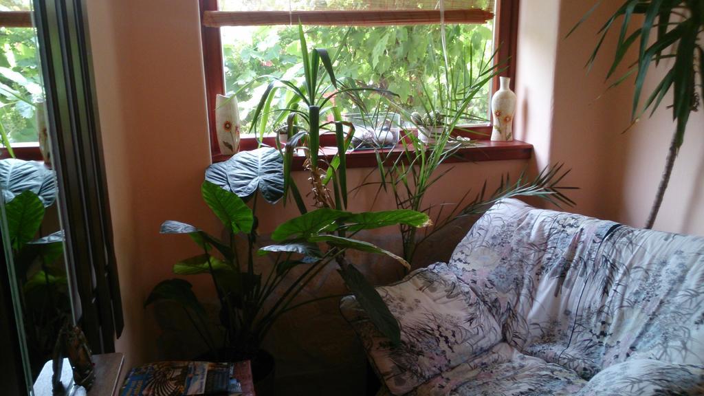 Boris Apartman Apartman Gyula Kültér fotó